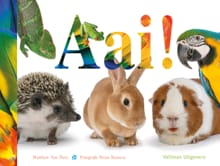 Aai! - Matthew van Fleet