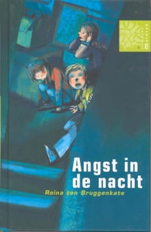 Angst in de nacht - Reina ten Bruggenkate