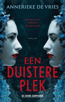 Een duistere plek - Annerieke de Vries