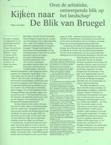 Kijken naar de Blik van Bruegel - Stefan Devoldere, Kris Pint