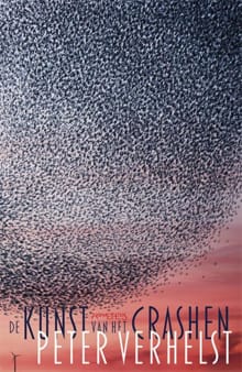 De kunst van het crashen - Peter Verhelst