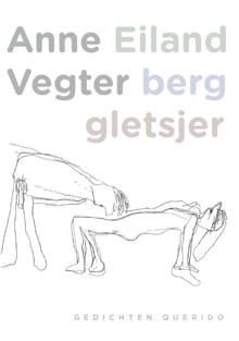Eiland berg gletsjer - Anne Vegter