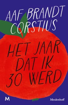 Het jaar dat ik 30 werd - Aaf Brandt Corstius
