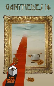 Ganymedes 14 - Paul van Leeuwenkamp