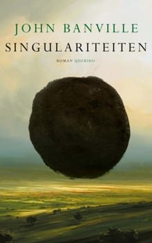 Singulariteiten - John Banville