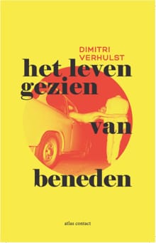 Het leven gezien van beneden - Dimitri Verhulst