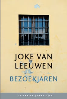 Bezoekjaren (set van 10) - Joke van Leeuwen