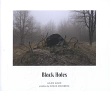 Black Holes - Julien Sunyé, Arnon Grunberg