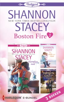Boston Fire 2 - Shannon Stacey