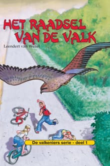 Het raadsel van de valk - Leendert van Wezel