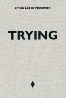 Trying - Hans Theys, Koen Vajn Synghel, ...
