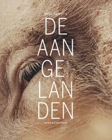 De aangelanden - Paul Demets