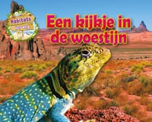 Een kijkje in de woestijn - Honor Head