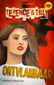 Ontvlambaar - Silvia van Gimst