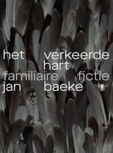 Het verkeerde hart - Jan Baeke