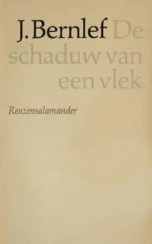 Schaduw van een vlek - J. Bernlef