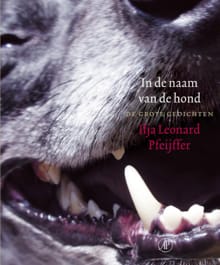 In de naam van de hond - Ilja Leonard Pfeijffer