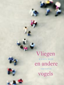 Vliegen en andere vogels - Bianca Boer