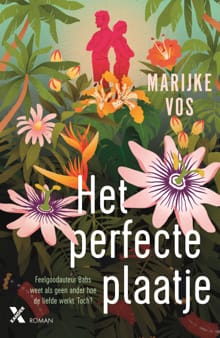 Het perfecte plaatje - Marijke Vos