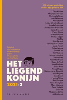 Het Liegend Konijn - 2021/2 - Jozef Deleu