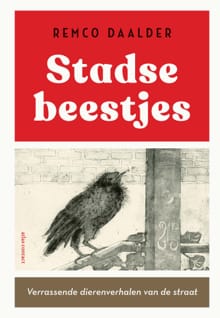 Stadse beestjes - Remco Daalder