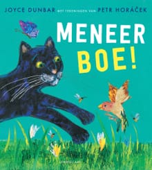Meneer boe! - Joyce Dunbar