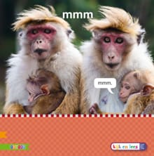 Mmm AVI S -  AUTEURS,  Auteursgroep Zwijsen