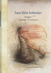 Artefact nr. 953 - Hans Klein Hofmeijer