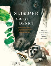 Slimmer dan je denkt - Lotte Stegeman