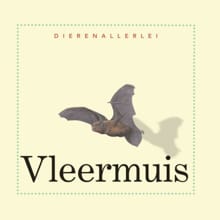 Vleermuis - TING MORRIS