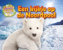 Een kijkje op de Noordpool - Honor Head