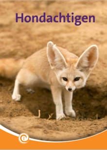 Hondachtigen - Geert-Jan Roebers