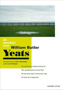 De mooiste van William Butler Yeats - Koen Stassijns, Ivo Van Strijtem, ...