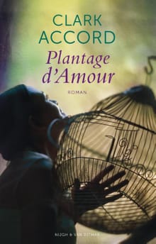 Plantage d'amour - Clark Accord