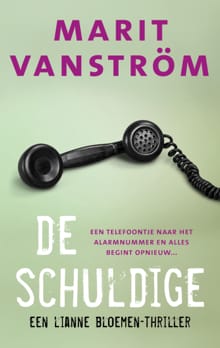 De schuldige - Marit Vanström