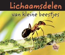 Lichaamsdelen van kleine beestjes - Charlotte Guillain