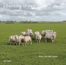 Counting sheep - Hans van der Meer