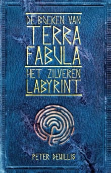 Het zilveren labyrint - Peter DeWillis