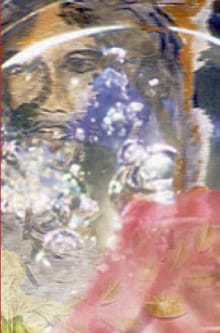 De schepping - Johan van de Velde