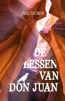 De lessen van Don Juan - Carlos Castaneda