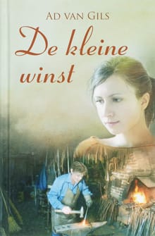 De kleine winst - A. van Gils