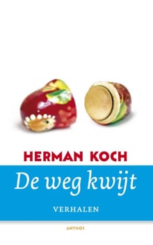 De weg kwijt - Herman Koch