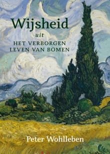 Wijsheid uit Het verborgen leven van bomen - Peter Wohlleben
