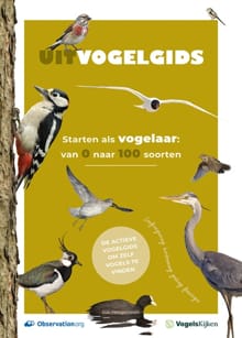 Uitvogelgids - Luc Hoogenstein