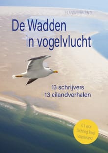 De Wadden in Vogelvlucht - Saskia Somers, Marja van Osch, ...