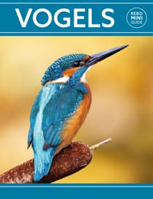 Rebo mini guide - Vogels - Dan Brown
