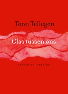 Glas tussen ons - Toon Tellegen