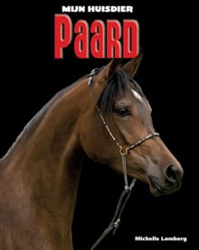 Paard - Michelle Lomberg