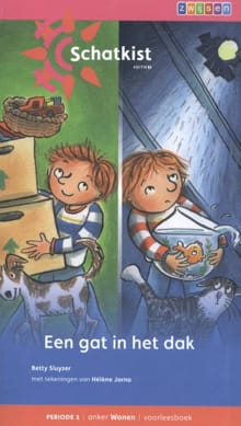 Anker wonen - Een gat in het dak - Periode 1 - Betty Sluyzer