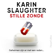 Stille zonde - Karin Slaughter